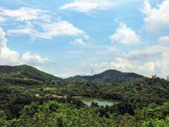 -深圳仙湖植物园-停车场