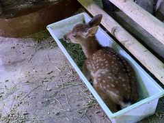 -正佳雨林生态植物园