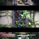 这是一个来了就不想走的地方，就在深圳