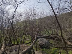 -北京凤凰岭