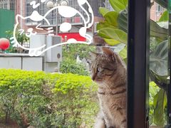 -转山咖啡(松柏社区店)