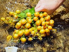-百分茶(九洲新世界店)