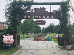 -田园东方蜜桃村的田野营地
