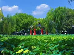 -四川大学(望江校区)