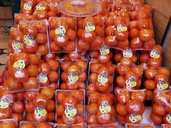 -百果园(芳华路店)