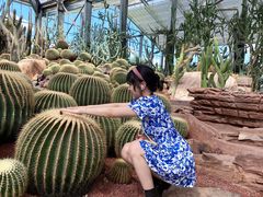 -南通洲际绿博园