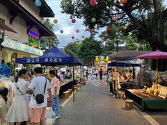 景点-告庄西双景