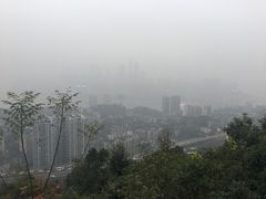 -南山植物园
