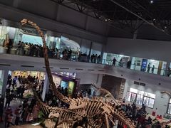 -自贡恐龙博物馆