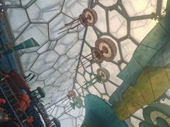 -水立方嬉水乐园