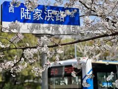 -陆家浜路(地铁站)