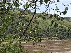 -中华福寿山