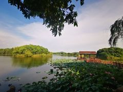 -上海市保健医疗中心