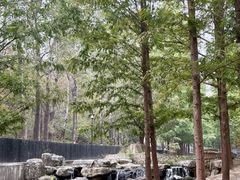 -白水寺森林公园