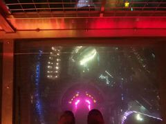 -339旋转餐厅(天府熊猫塔店)