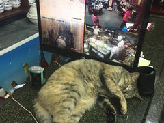 -协和菜馆(凤凰街店)