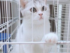 -PETKIT小佩宠物(昭化店)