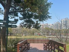 -新江湾城公园