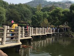 -白马涧龙池景区