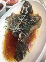 -嘉兴希尔顿逸林酒店·宴会厅