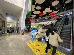 -中国宋庆龄青少年科技文化交流中心