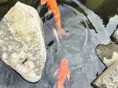 -昆明洲际酒店