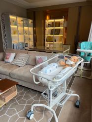 -巍阁高端月子会所