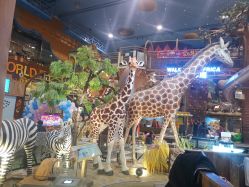 -卡通尼·Safari非洲探索乐园·生日会(金桥国际商业广场店)