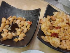 -上海红塔豪华精选酒店
