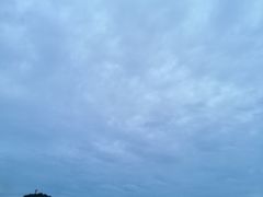 -东河市场