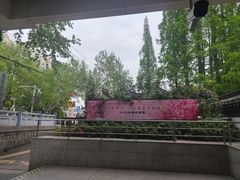 -上海醉白池公园