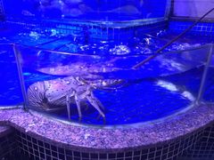 -青蓬蒸汽海鲜·深圳老字号·团建聚会(壹方城店)