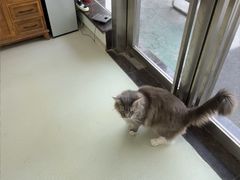 -美美宠物诊疗中心·异宠·骨科(滨江东信分院)