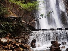-姑婆山旅游区