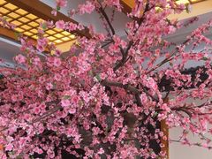 -鸥迪足道(湖南示范店)