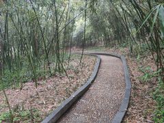 -菊花台公园