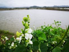-伍山石窟