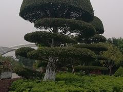 -厦门园林博览苑