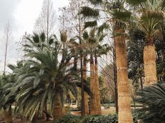 -苏州河梦清园环保主题公园