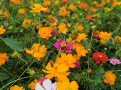 -贵阳市花溪国家城市湿地公园