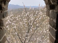 -蟠龙山长城景区