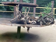 -沈阳森林动物园