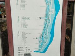 -江滩湿地公园
