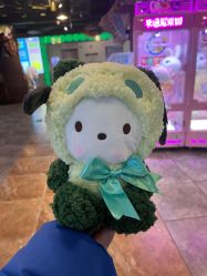 -卡通尼·Safari非洲探索乐园·生日会(金桥国际商业广场店)