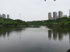 -重庆彩云湖湿地公园