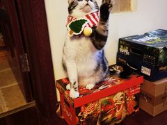 -艾贝尔宠物医院 ·内科全科(梁溪路店)