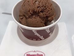比利时巧克力品脱冰淇淋-哈根达斯(芳圆里店)
