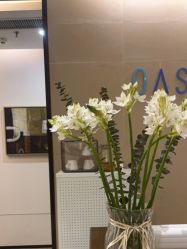 -Oasis Beauty水磨坊科技美肤中心