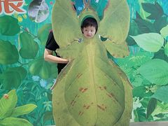 -上海昆虫博物馆