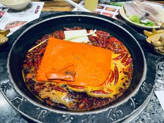 -蜀大侠火锅(建设路第五大道店)
